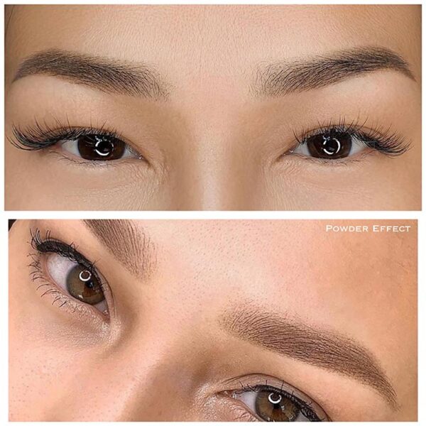 Ombre and Powder Brows Brow Design By Dina